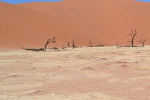 Deadvlei