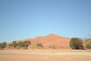 Sossusvlei Dune