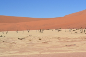 Sossusvlei